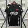 Equipacion Arsenal Segunda 2024 2025
