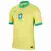 Equipacion Brasil Primera 2024