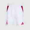 Tailandia Pantalones Nottingham Forest Primera 2024 2025