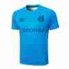Tailandia Equipacion Entrenamiento Gremio FBPA 2024 2025 Azul