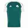 Tailandia Equipacion Panathinaikos Primera 2025 2026