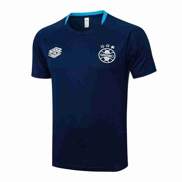 Camiseta Entrenamiento Grêmio FBPA 2025-2026 Azul 3 Tailandia Equipacion Gremio FBPA Entrenamiento 2025 2026 Azul