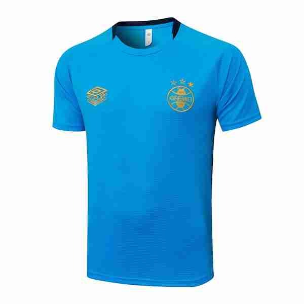 Camiseta Entrenamiento Grêmio FBPA 2025-2026 Azul 4 Tailandia Equipacion Gremio FBPA Entrenamiento 2025 26 Azul