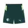 Pantalones Manchester City Cuarta 2025 2026