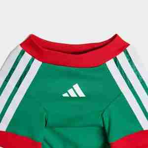 Equipacion México Para Mascotas 2026_3