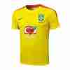 Tailandia Equipacion Brasil Entrenamiento 2026 2027 Amarillo